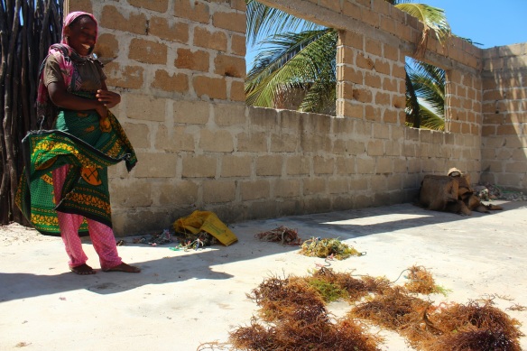 Meja stands over the seaweed she has just brought back from her plot today. It will dry to about a quarter of its current size. Photo by Gemina Garland-Lewis. 